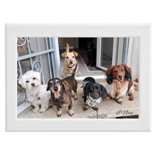 Poster con Cornice 30x20