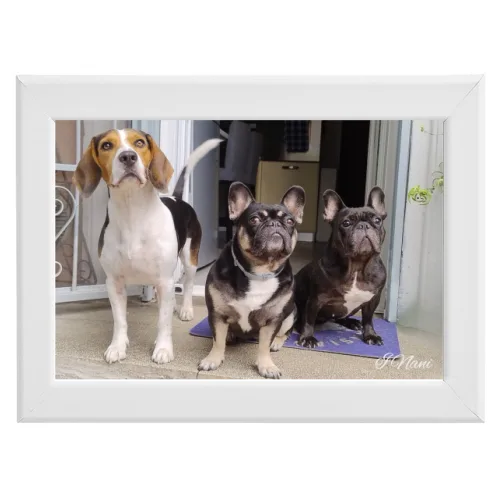 Poster con Cornice 30x20