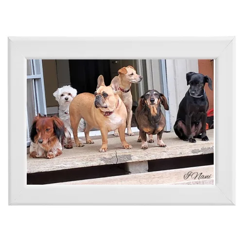 Poster con Cornice 30x20