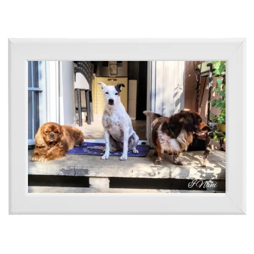 Poster con Cornice 30x20