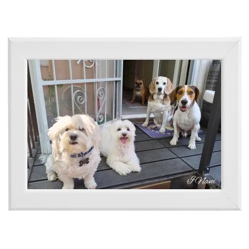 Poster con Cornice 30x20