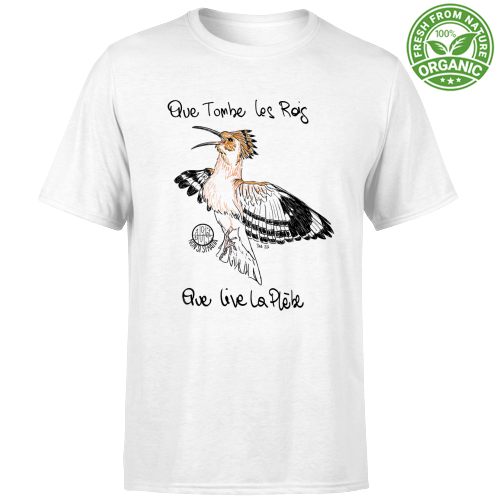 T-Shirt Bambino Organic