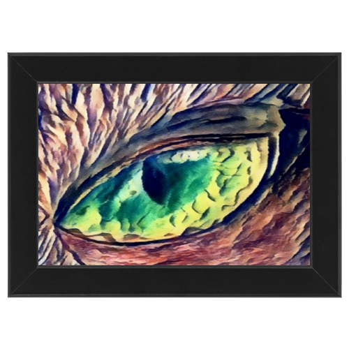 Poster con Cornice 30x20