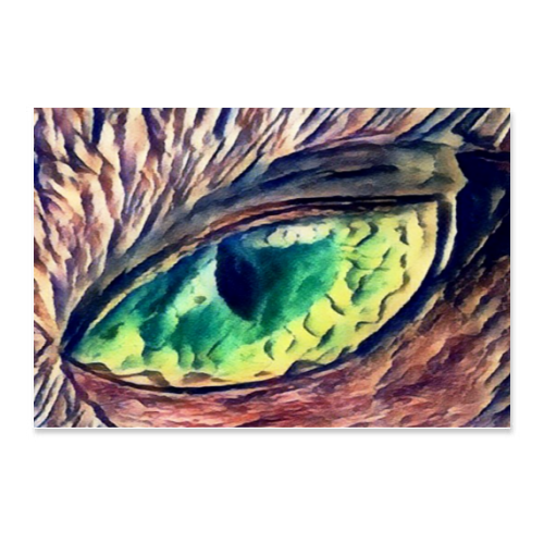 Poster 45x30