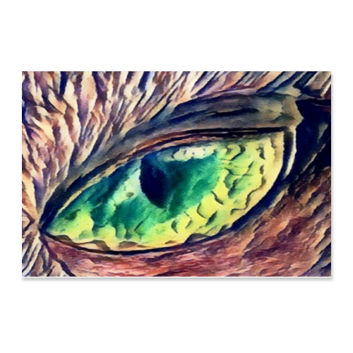 Poster 75x50