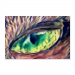 Poster 75x50 15.99 &euro;