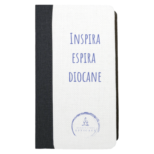 Agendina