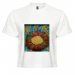 Top Crop 25.00 &euro;