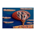 Poster 75x50 20.00 &euro;