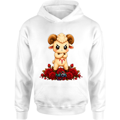 Felpa Bambino con Cappuccio