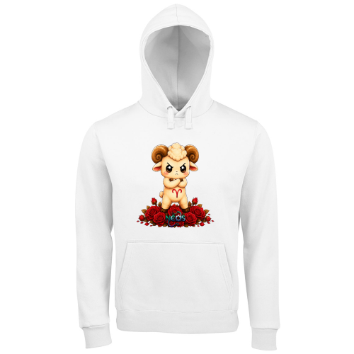 Hoodie Premium Men