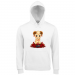 Hoodie Premium Men 39.90 &euro;