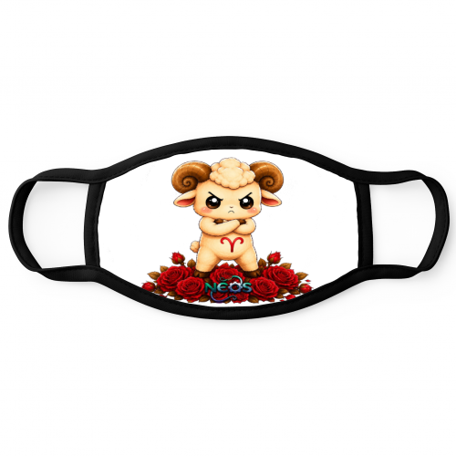 Cloth Face Mask