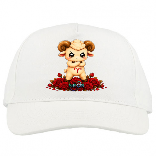 Baseball Cap Premium