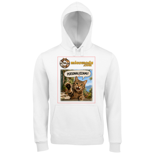 Hoodie Premium Men