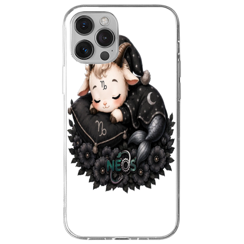 Cover Gomma iPhone 13 Pro