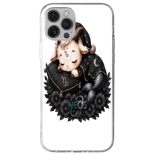 Cover Gomma iPhone 13 Pro Max
