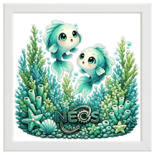 Poster con Cornice 40x40