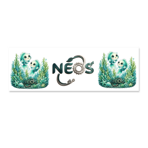 Adesivi Rettangolari 4x12cm 6pz