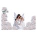 Canvas 60x40 39.90 &euro;