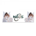 Rectangular Sticker 4x12cm 4.49 &euro;