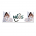 Rectangular Sticker 8x24cm 6.90 &euro;