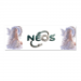 Rectangular Sticker 4x12cm 4.49 &euro;