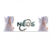 Rectangular Sticker 8x24cm 6.90 &euro;