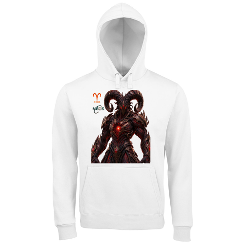 Hoodie Premium Men