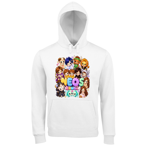 Hoodie Premium Men