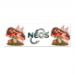 Rectangular Stickers 4x12cm 6pcs 15.90 &euro;