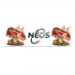 Rectangular Sticker 4x12cm 4.49 &euro;