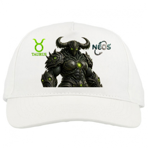 Baseball Cap Premium