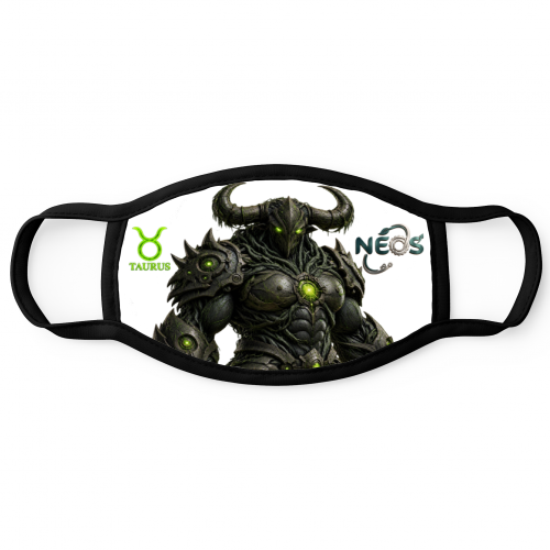 Cloth Face Mask