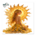 Poster 60x60 24.90 &euro;
