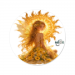 15cm Round Sticker 6.49 &euro;