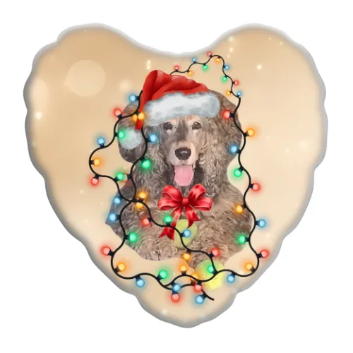 Cuscino Cuore