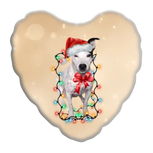Cuscino Cuore