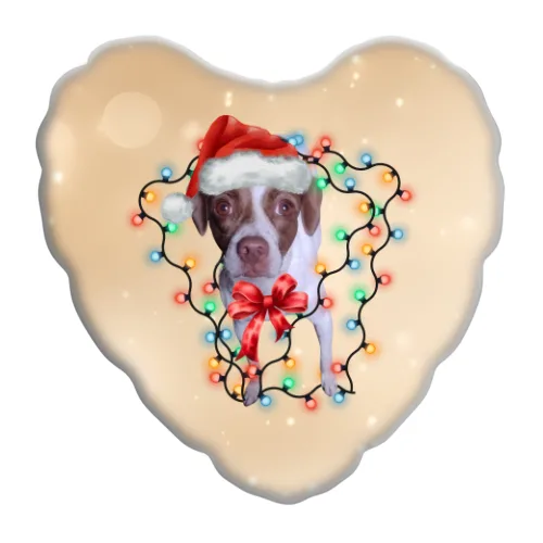 Cuscino Cuore