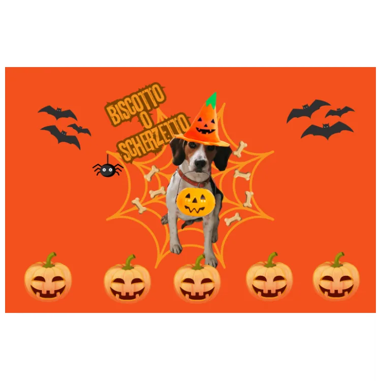 Zerbino26H Spooky