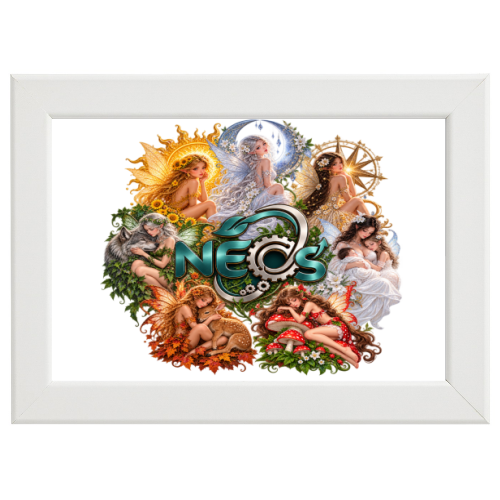 Poster con Cornice 45x30
