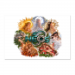 Poster 45x30 12.50 &euro;