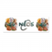 Rectangular Sticker 4x12cm 4.49 &euro;