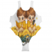 Olympic Women's One-piece Costume 34.90 &euro;
