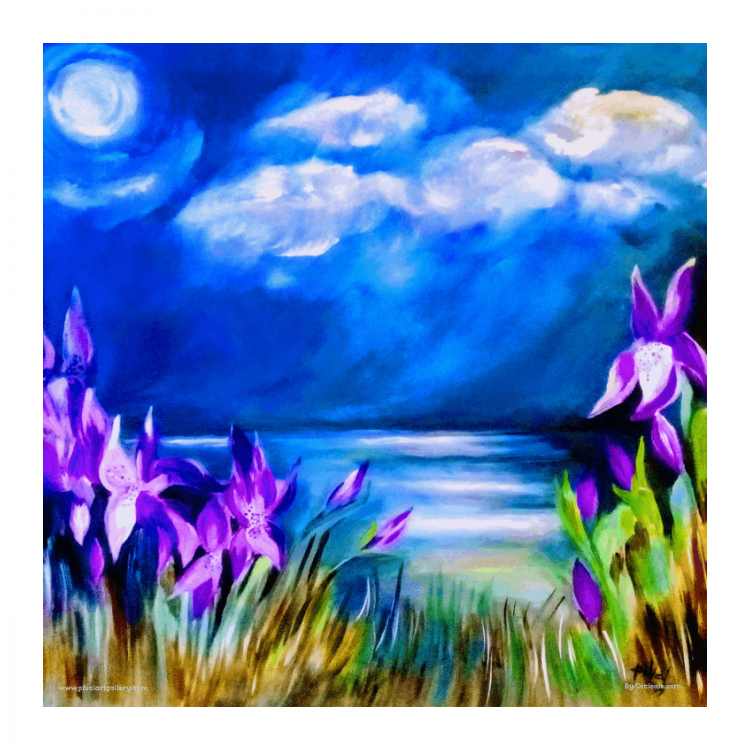 La Notte degli Iris (PiVal)