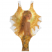 Olympic Women's One-piece Costume 34.90 &euro;