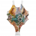 Olympic Women's One-piece Costume 34.90 &euro;