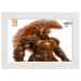 45x30 Framed Poster 45.30 &euro;