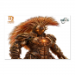Poster 45x30 12.50 &euro;