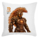 pillow 18.90 &euro;
